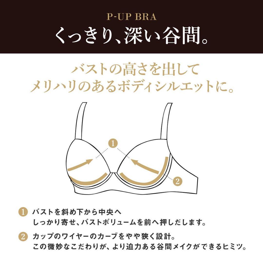 サルート28グループPアップブラD80ブルーグレーノーマルL