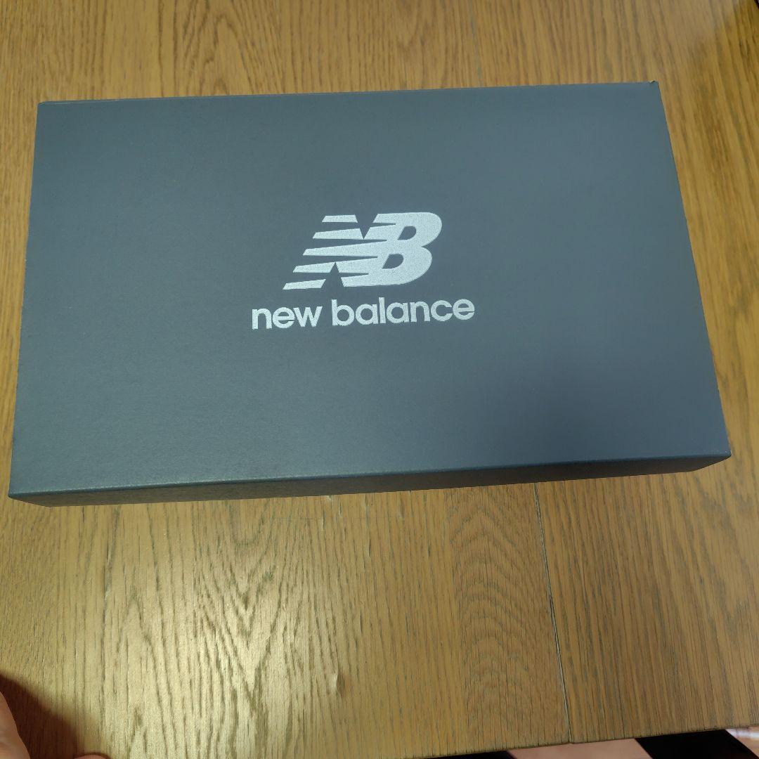 未使用品タグ付きNew Balance 1906R シルバー/ホワイト