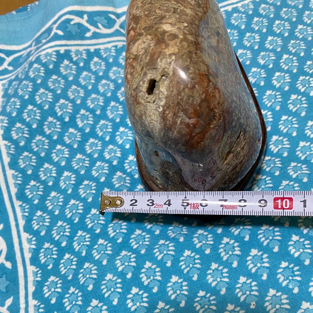 赤花紋　梅花紋　菊花石　鑑賞石