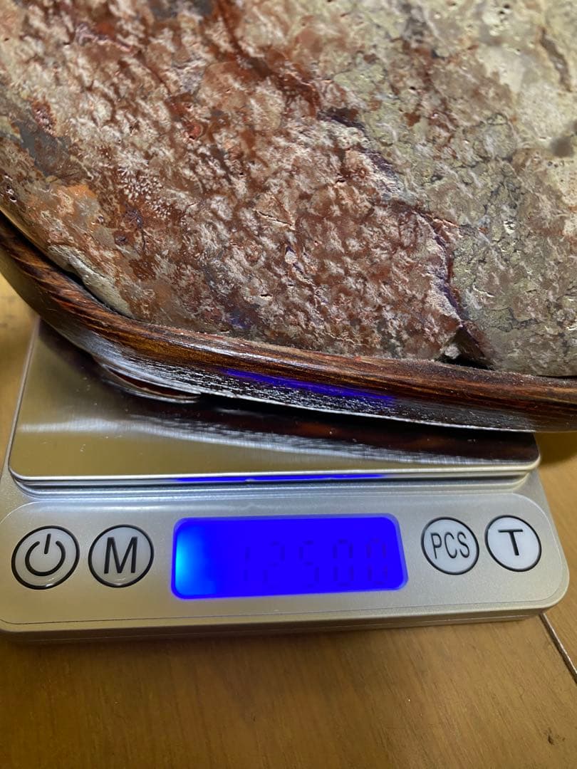 赤花紋　梅花紋　菊花石　鑑賞石