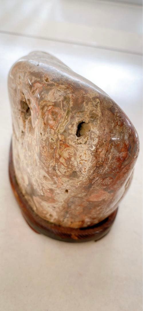 赤花紋　梅花紋　菊花石　鑑賞石