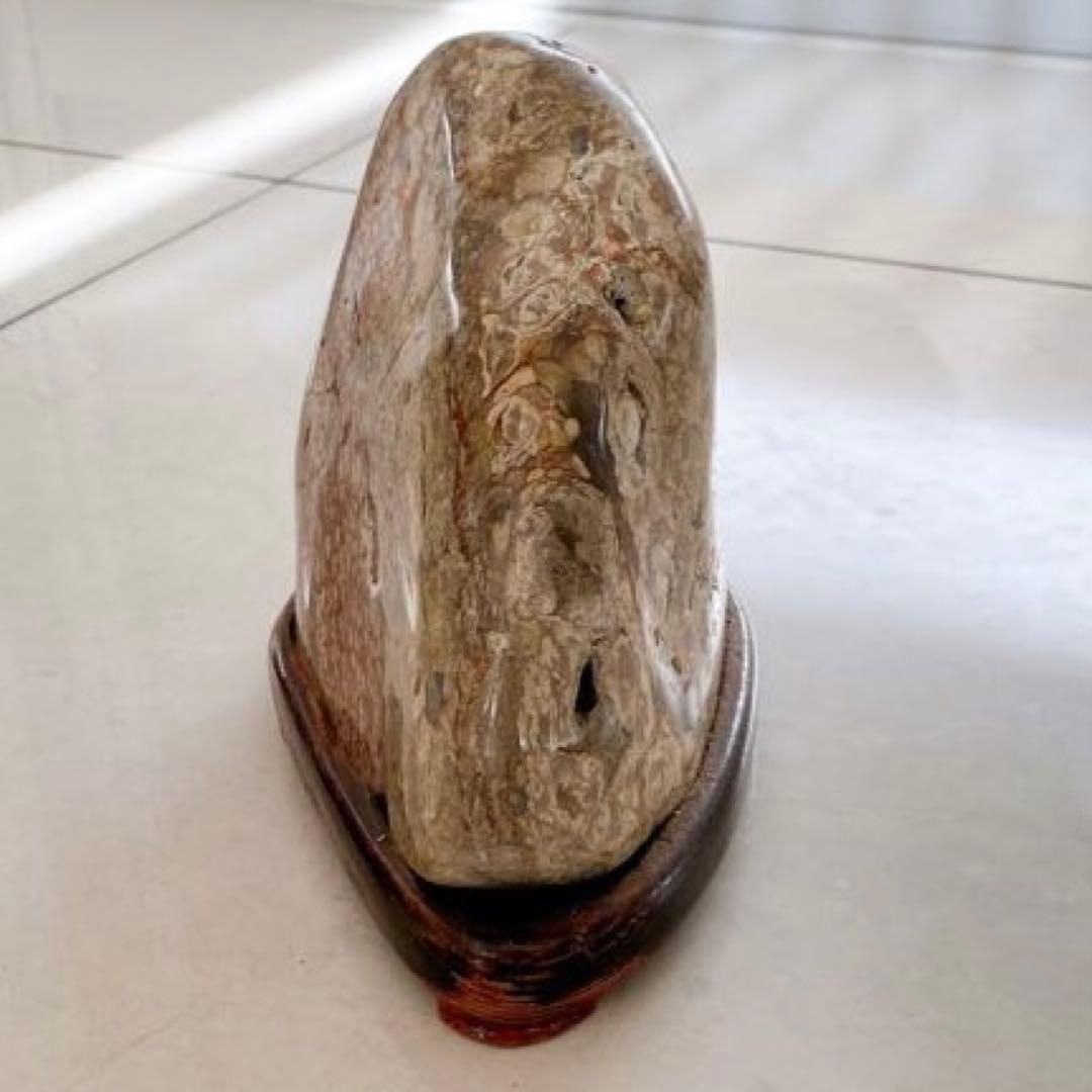 赤花紋　梅花紋　菊花石　鑑賞石