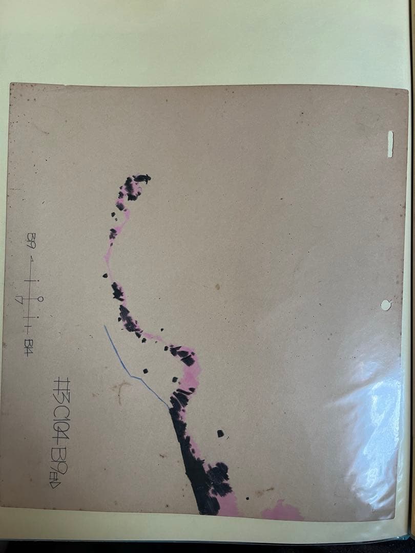 カピバラ様、紅三四郎