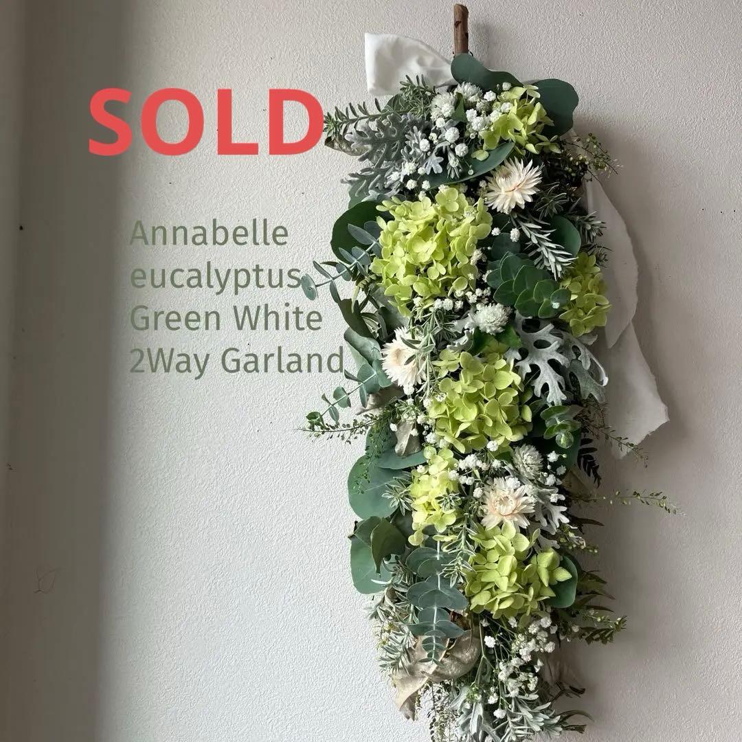 アナベルとユーカリのホワイトグリーンな2Wayガーランド　貝細工　千日紅
