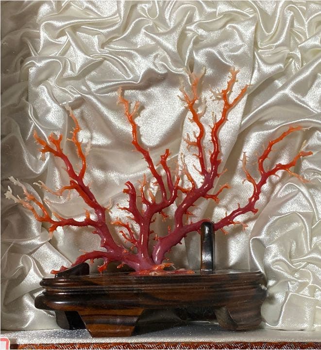血赤珊瑚　置物