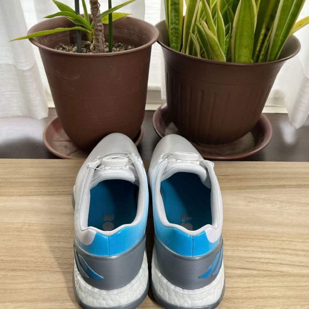 adidas golf shoes BOABOOSTダイヤル式三色カラー滑り止め