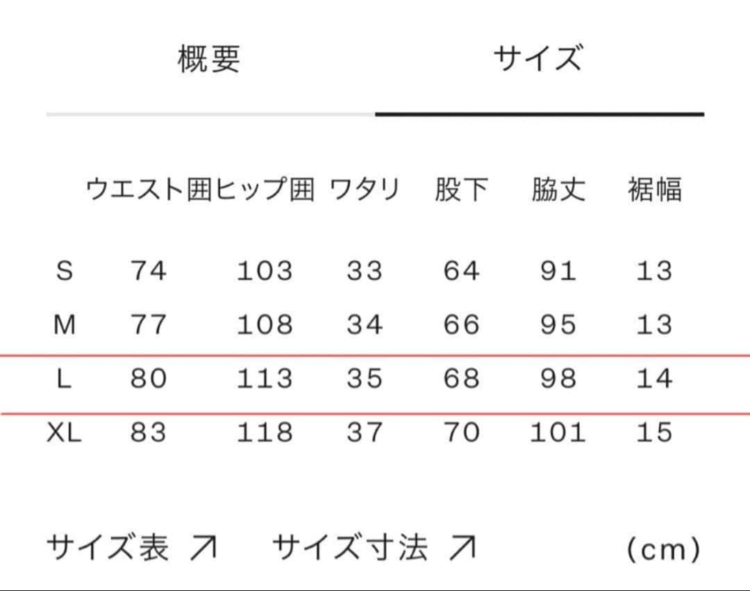 【新品・タグ付】ノースフェイス バーサミッドパンツ ネイビー Lサイズ