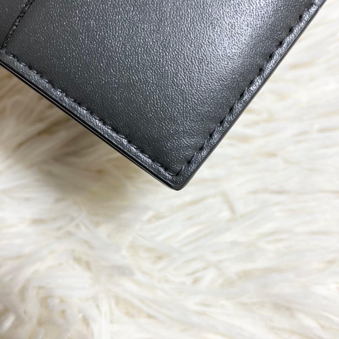 【極美品】ボッテガヴェネタ マネークリップ カセット