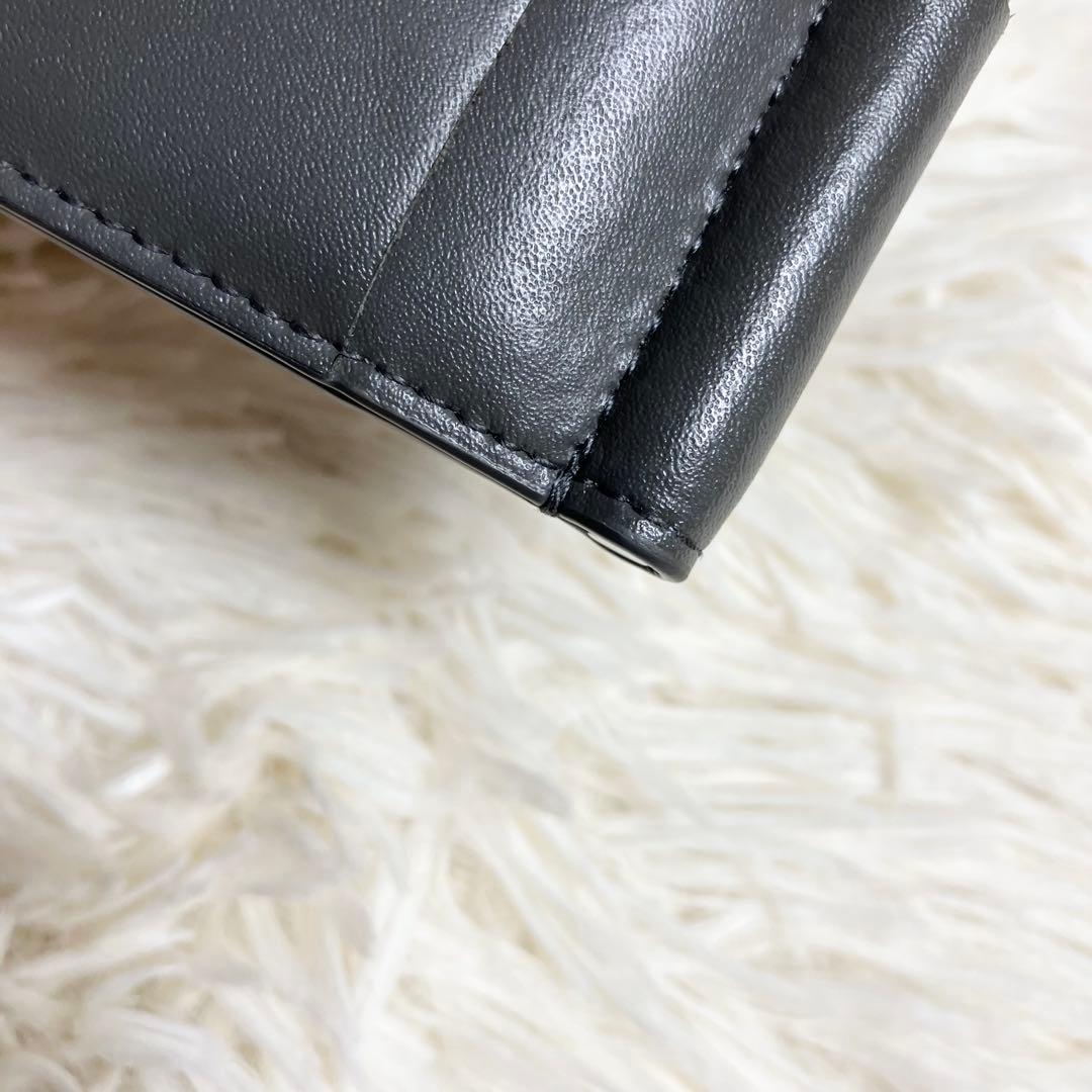 【極美品】ボッテガヴェネタ マネークリップ カセット