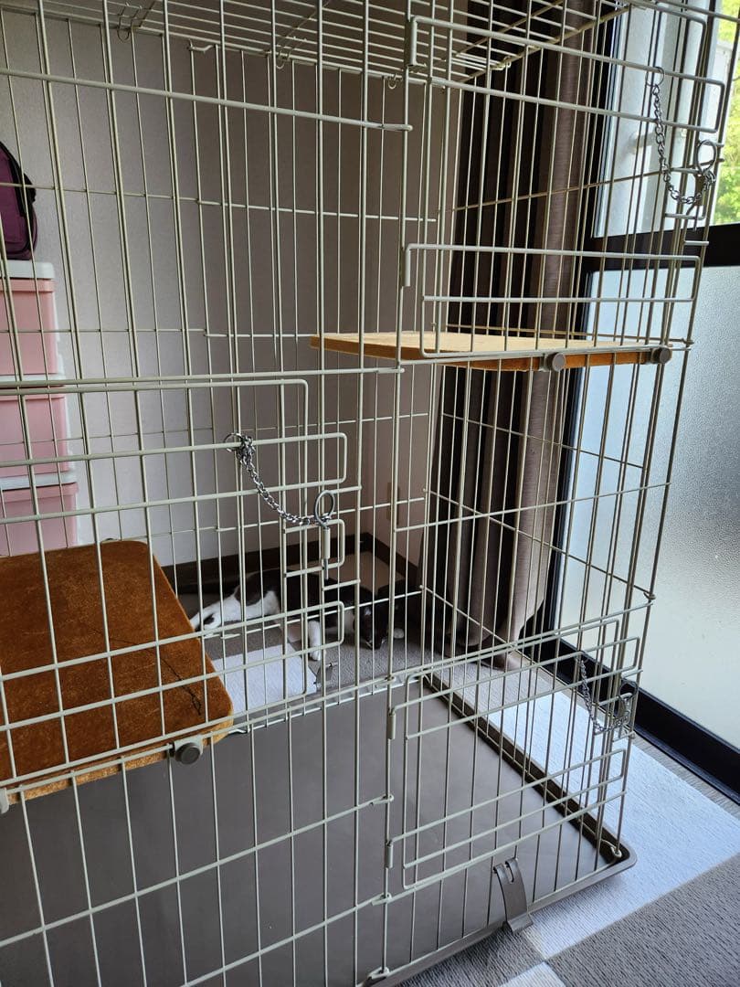 猫ケージ