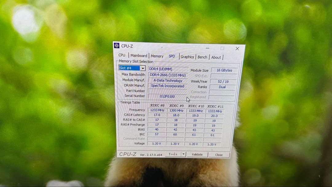 Adata DDR4 2666 32GB(16GBx2枚)デスクトップ