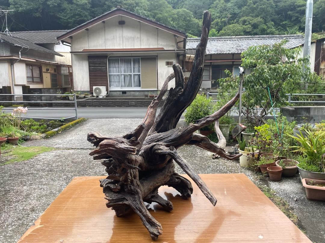 【お値引き相談可】流木 インテリア装飾 置物