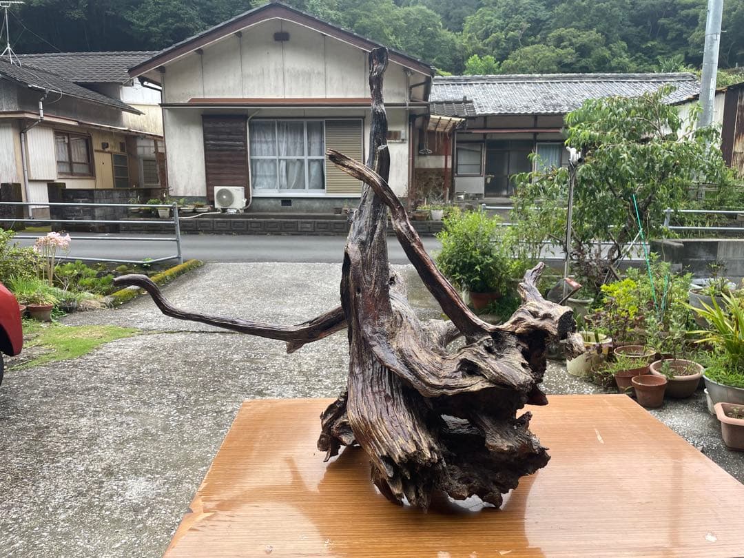【お値引き相談可】流木 インテリア装飾 置物