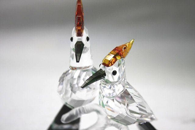 スワロフスキー　ヤツガシラ　鳥