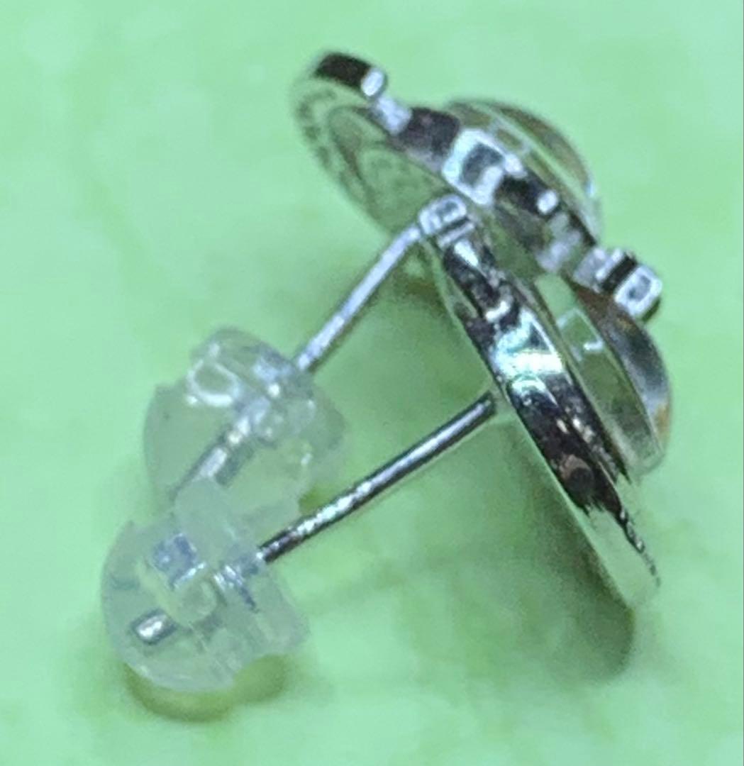 鉄質限石・メテオライト・スウェーデン産 SIVER925ピアス