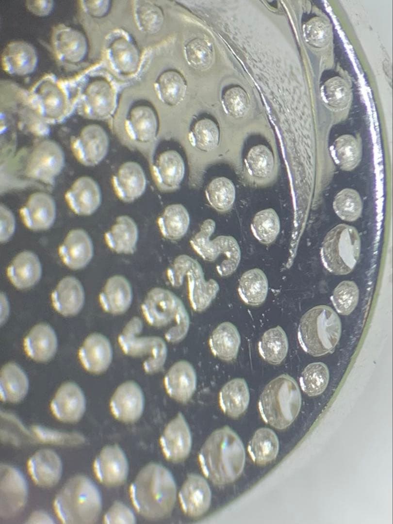 鉄質限石・メテオライト・スウェーデン産 SIVER925ピアス