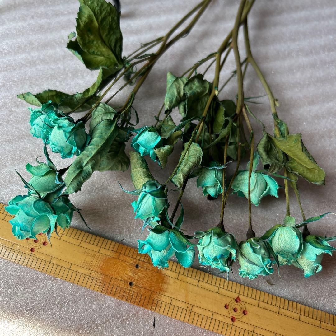 薔薇　染めスプレー薔薇水色5本