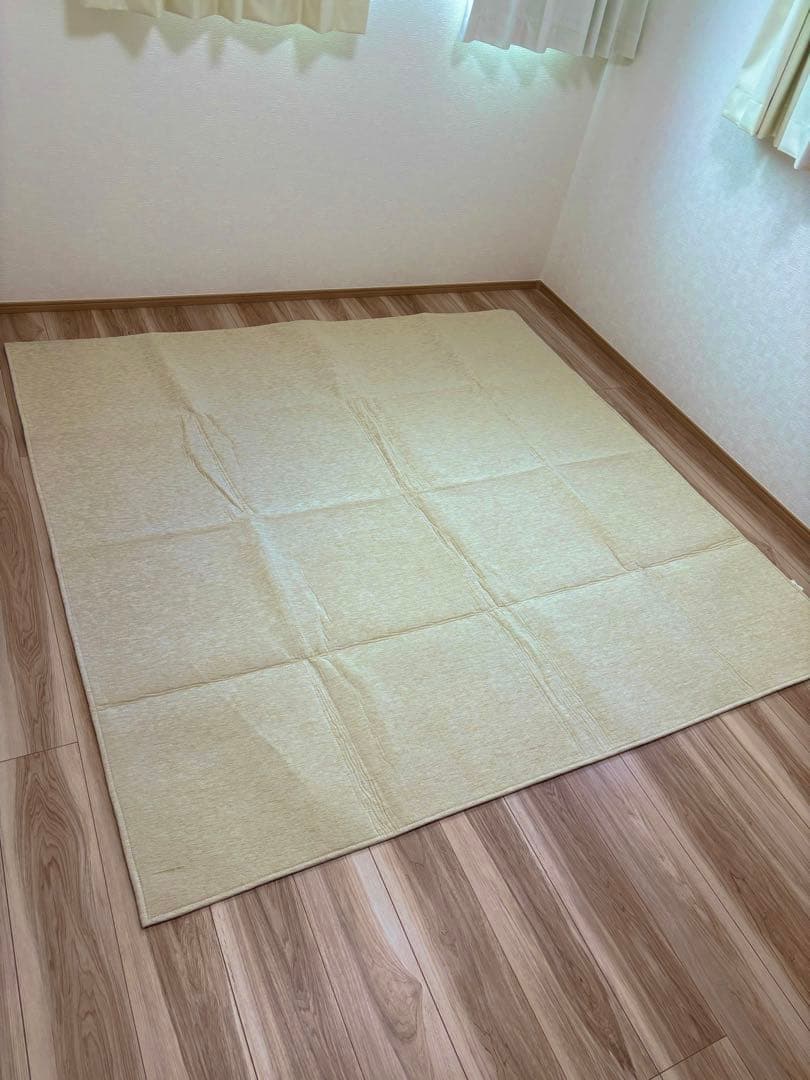 covearth シェニール ラグ アイボリー 約185cm x 185cm