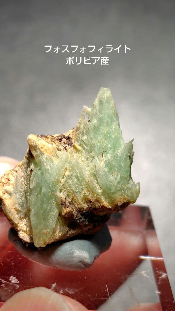 フォスフォフィライト　ボリビア産　1146