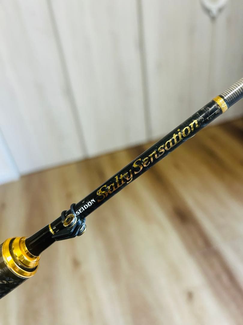 エバーグリーン　ソルティセンセーションPSSS-610リンバーティップ　アジング