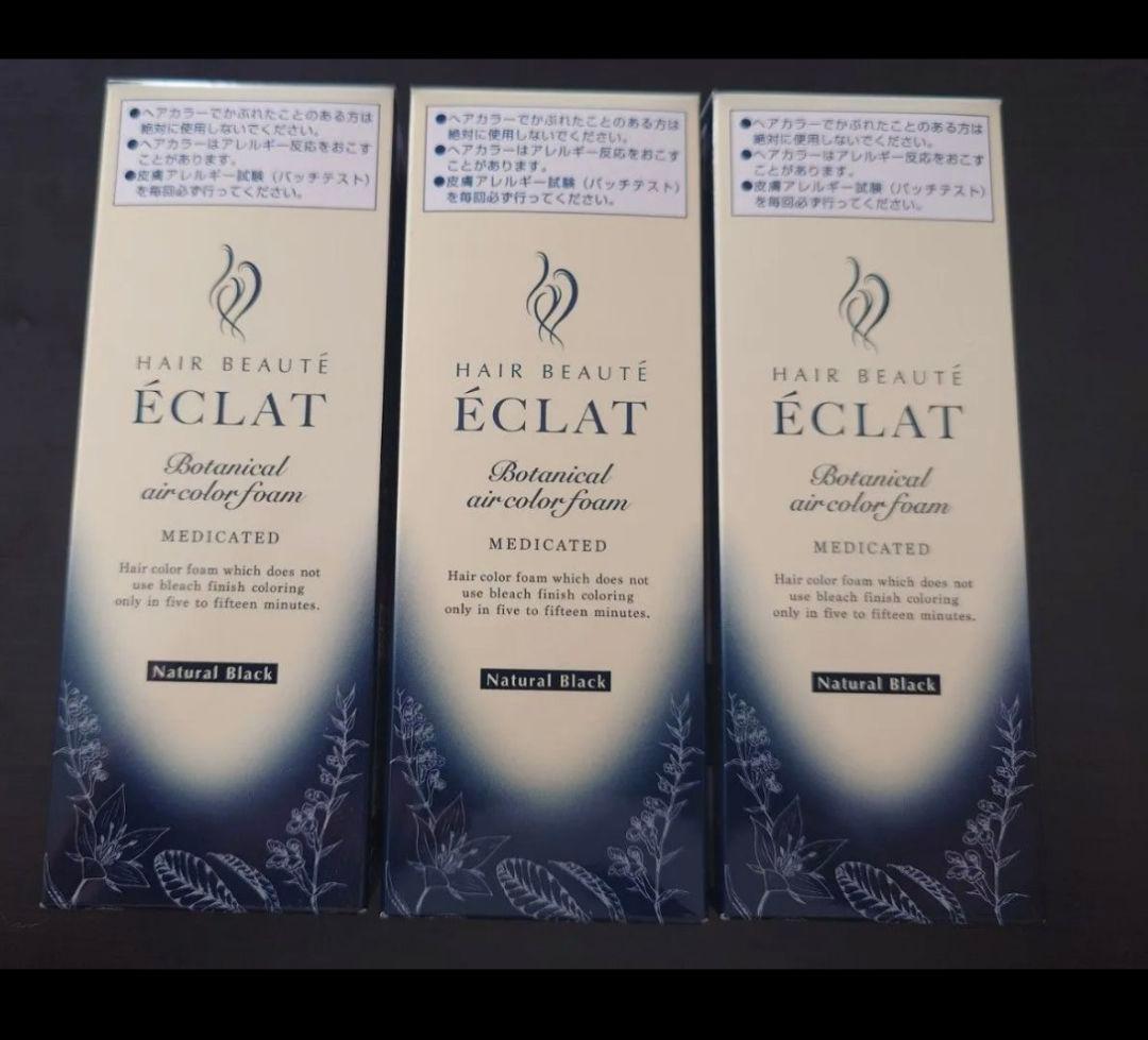 ÉCLAT ボタニカルエアカラーフォーム ナチュラルブラック 80gx3本セット