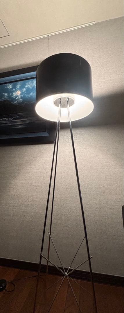 美品　FLOSフロス RAY F2 フロアライト ブラック