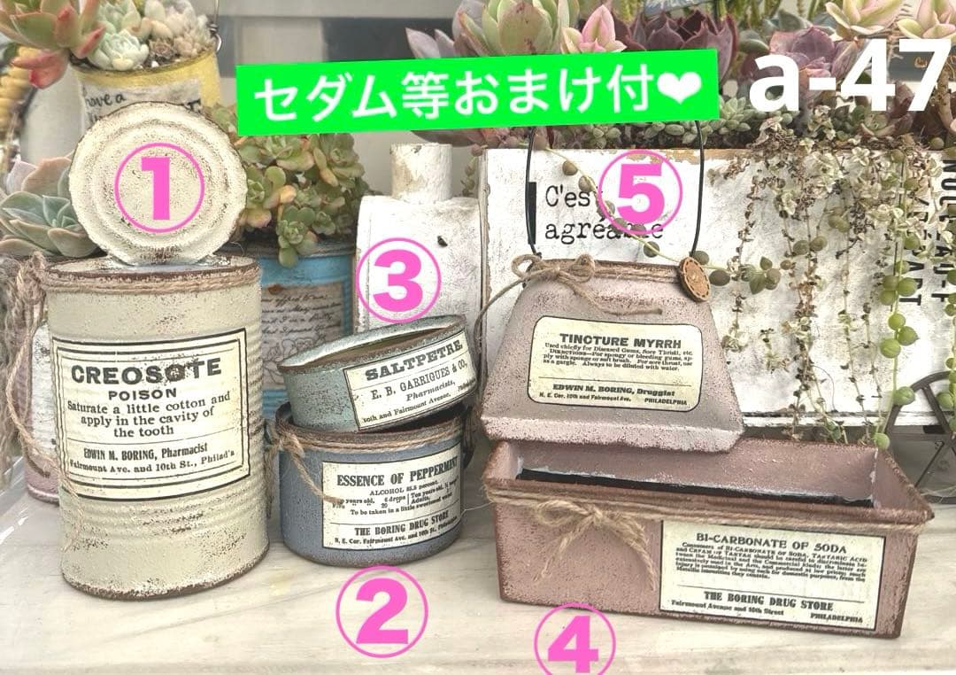 リメイク缶a-47☆多肉植物☆寄せ植え☆インテリア