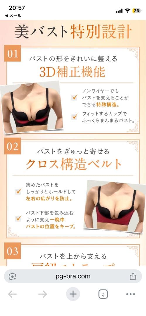 PGブラ ノンワイヤー ブラック2枚セット