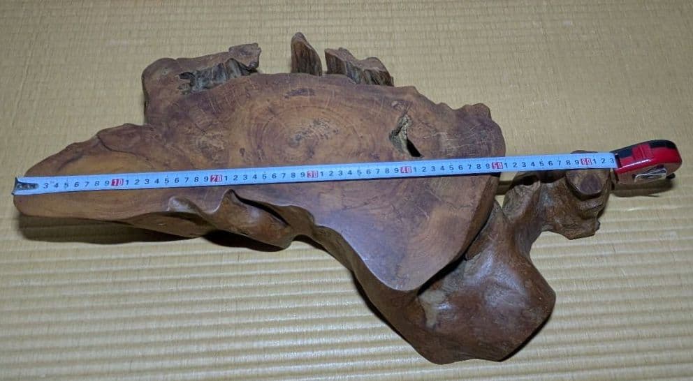 花台　飾り台　置き台　輪切り　厚さ約11cm　長さ60cm以上　天然木