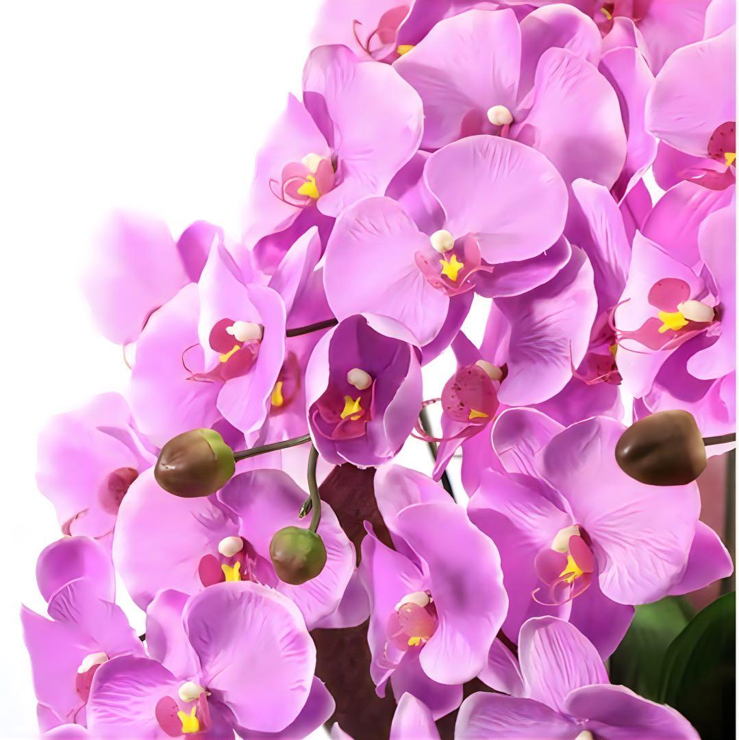 光触媒　人工観葉植物　ウォールグリーン　フェイクグリーン　エレガント胡蝶蘭L