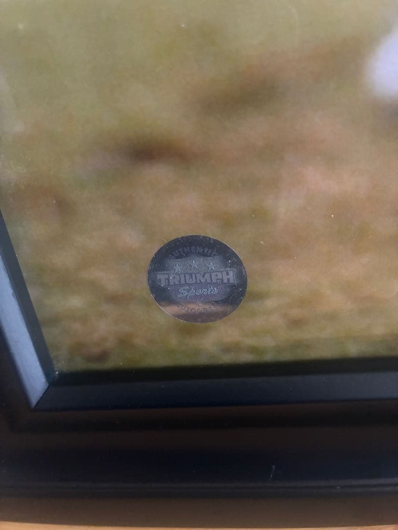 NFL リッチ・ギャノン 直筆サイン フォト 枠付き