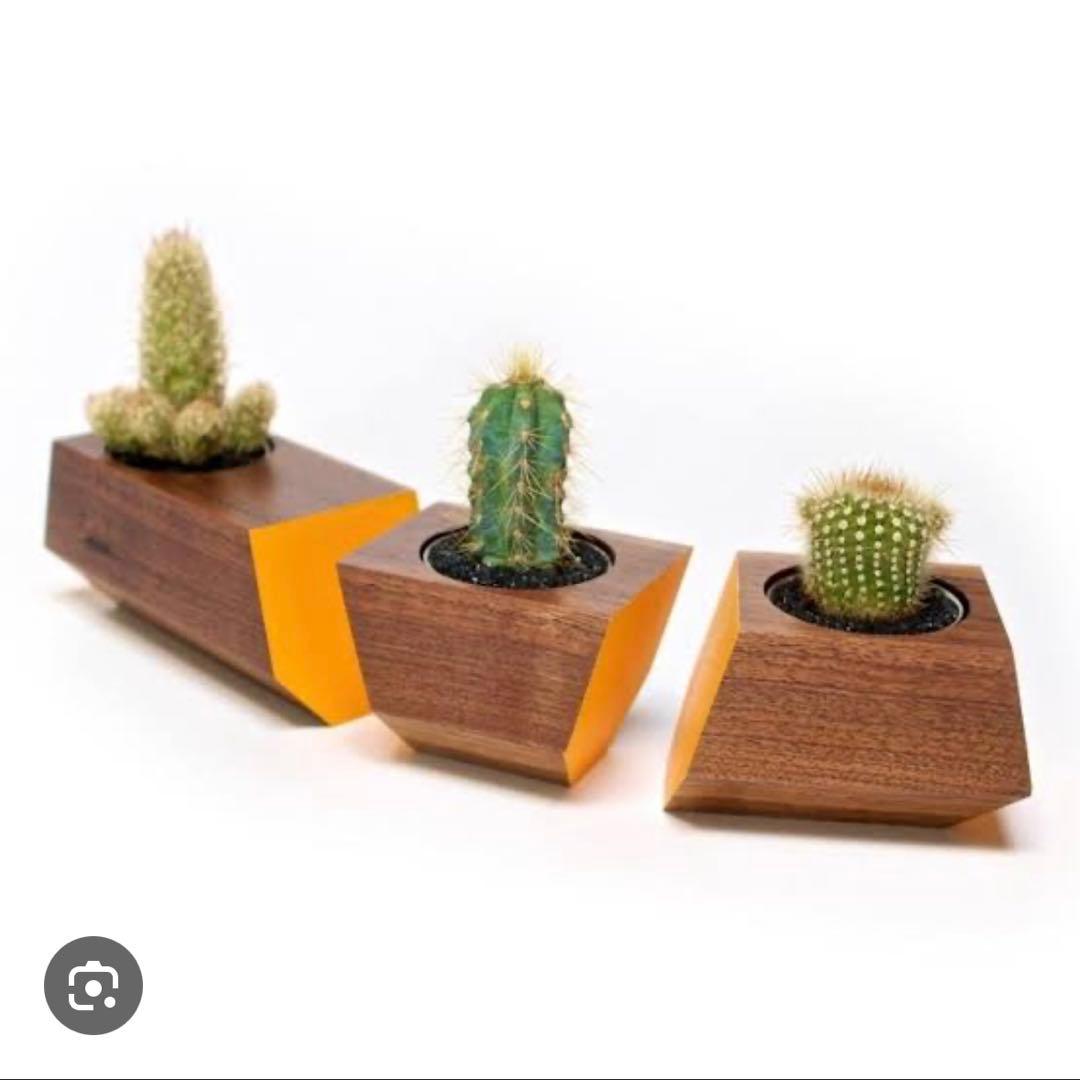 花瓶・フラワースタンド Mid-Century Boxcar Succulent Planters