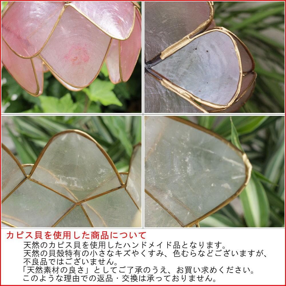 ioi24 訳あり カピス ロータス ホワイト オレンジの２個 F-77