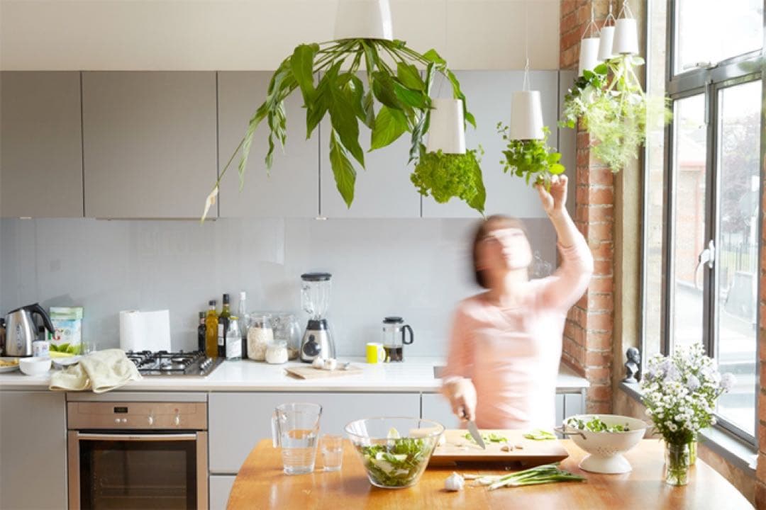 ボスケ　Skyplanterスカイプランター　セラミック　スモール　2個セット