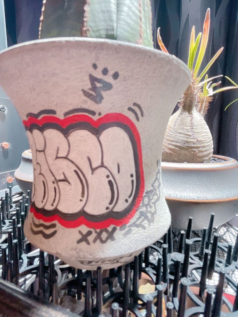 ハイパーポットクリエイター 阿萬 × aobouzu グラフィティー 【鉢のみ】