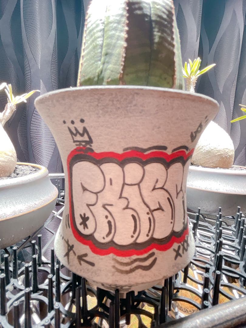 ハイパーポットクリエイター 阿萬 × aobouzu グラフィティー 【鉢のみ】