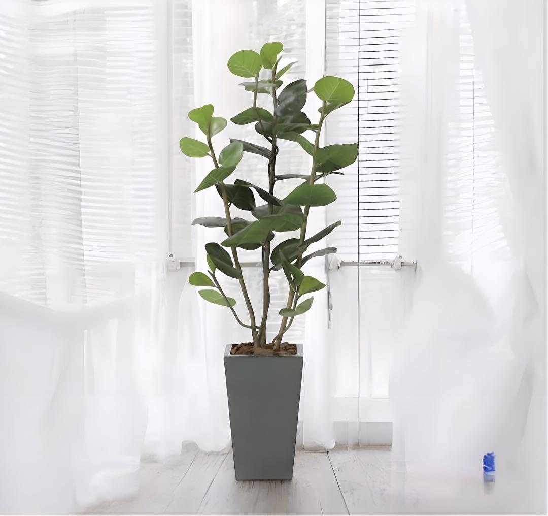 光触媒　人工観葉植物　ウォールグリーン　アーバンシーグレープ1.35