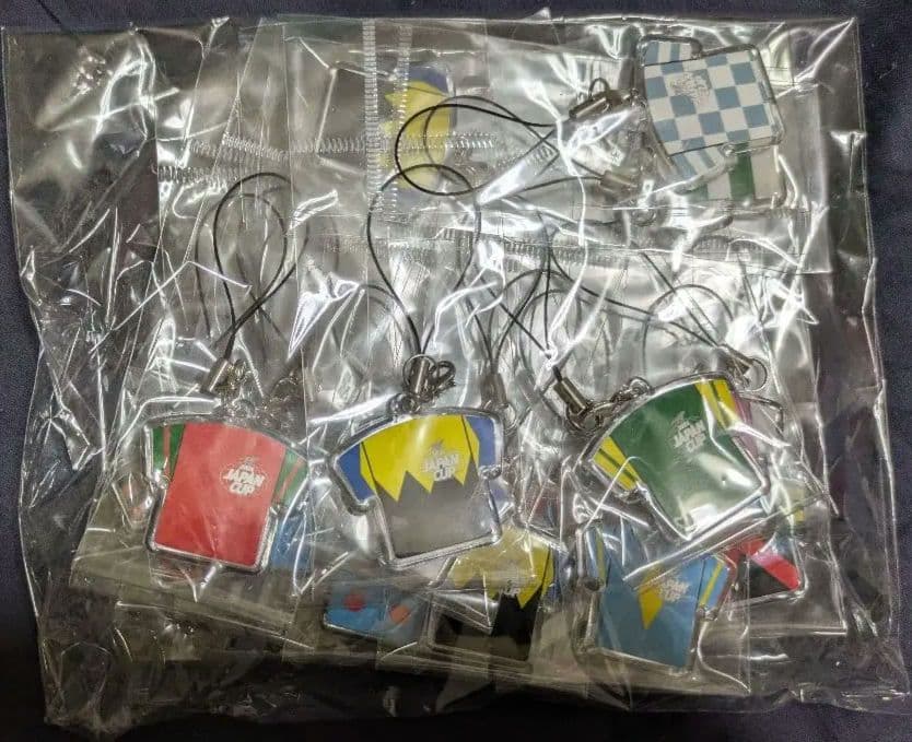 第41回ジャパンカップ　全出走馬のストラップ