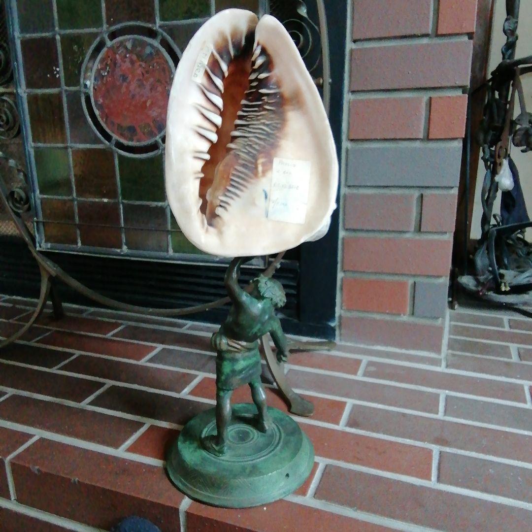 麦ちゃ様　　古典的な神話の彫刻貝殻と青銅スタンド