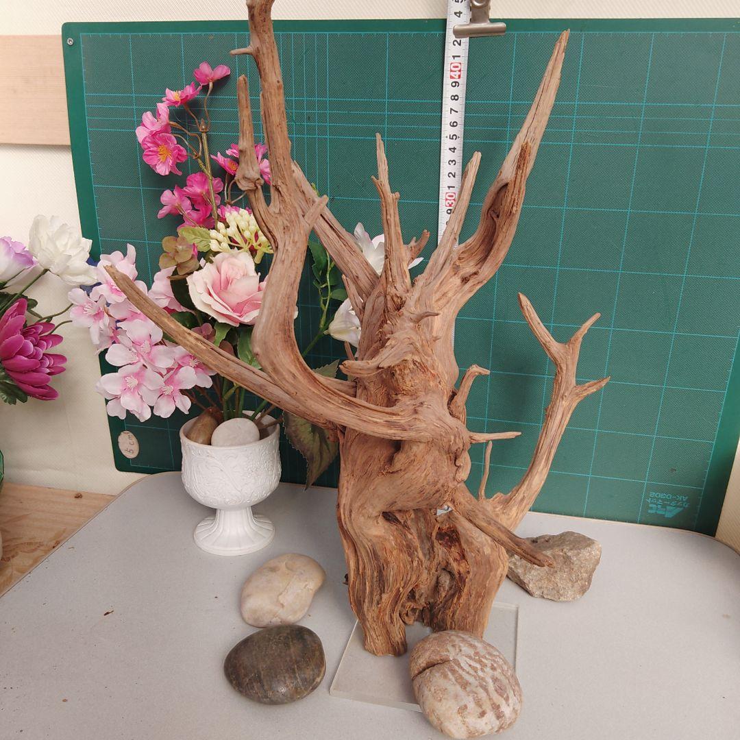 ８３１ホーンウッド灰汁抜き硬質水槽用流木 自然な枝状 約42cm964g