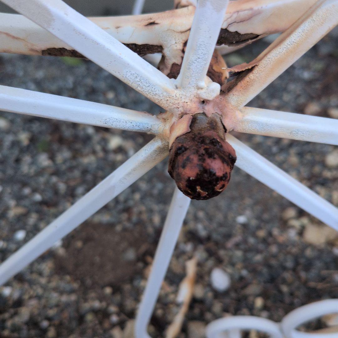 ガーデン用アイアンワゴン 難有り