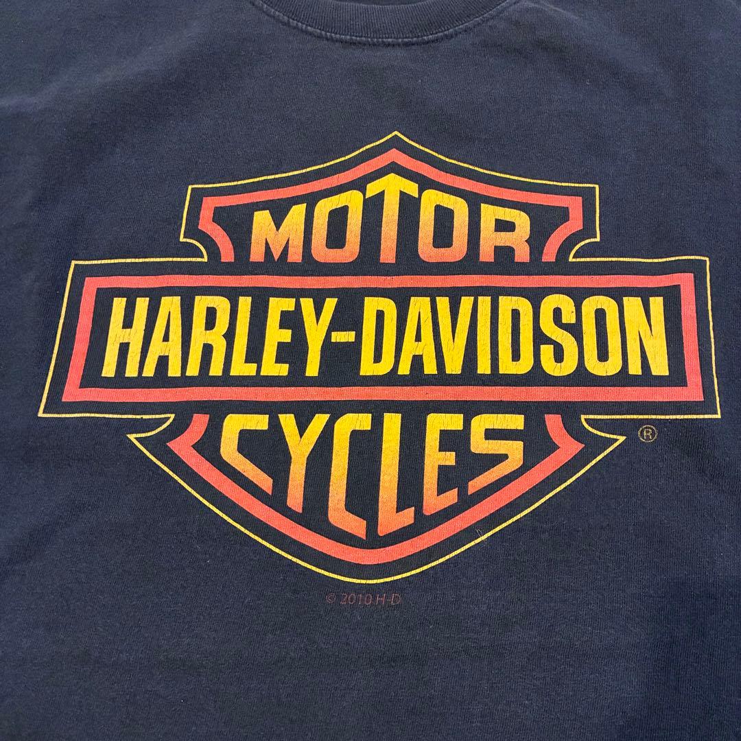 Harley-Davidson フレイム ファイヤーパターン ロンT 袖プリ