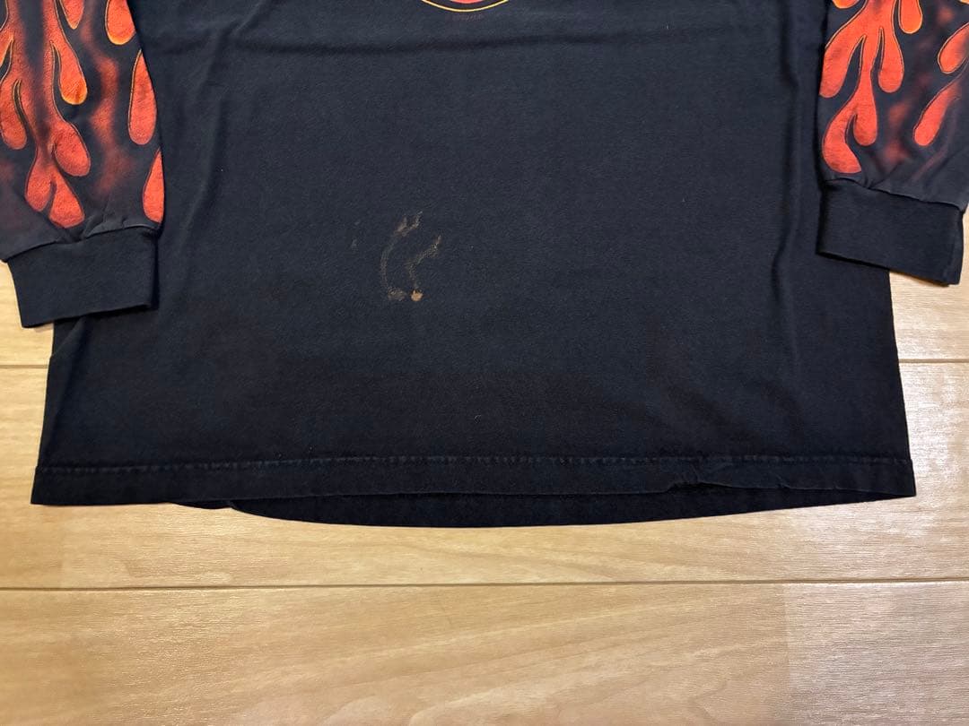 Harley-Davidson フレイム ファイヤーパターン ロンT 袖プリ