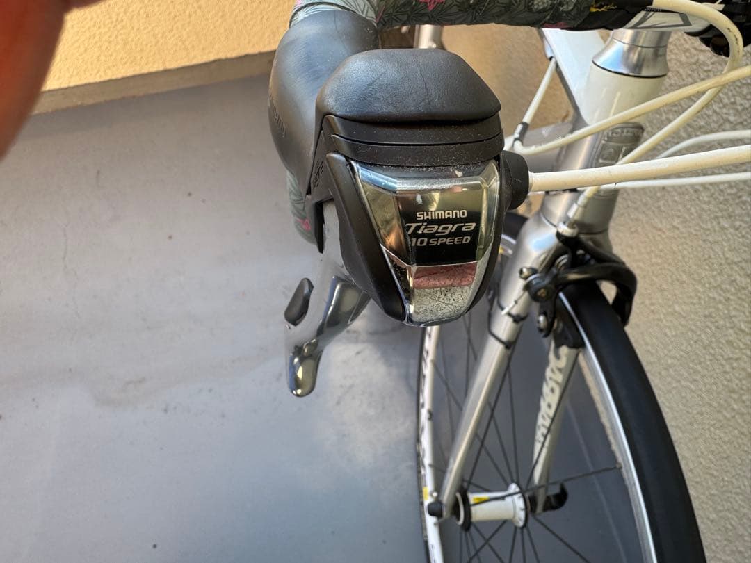 フジ　バラクーダ