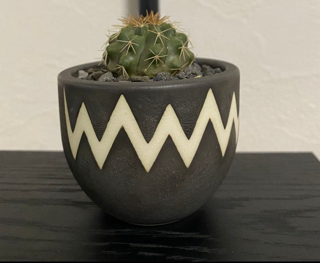 コピアポア　竜牙玉