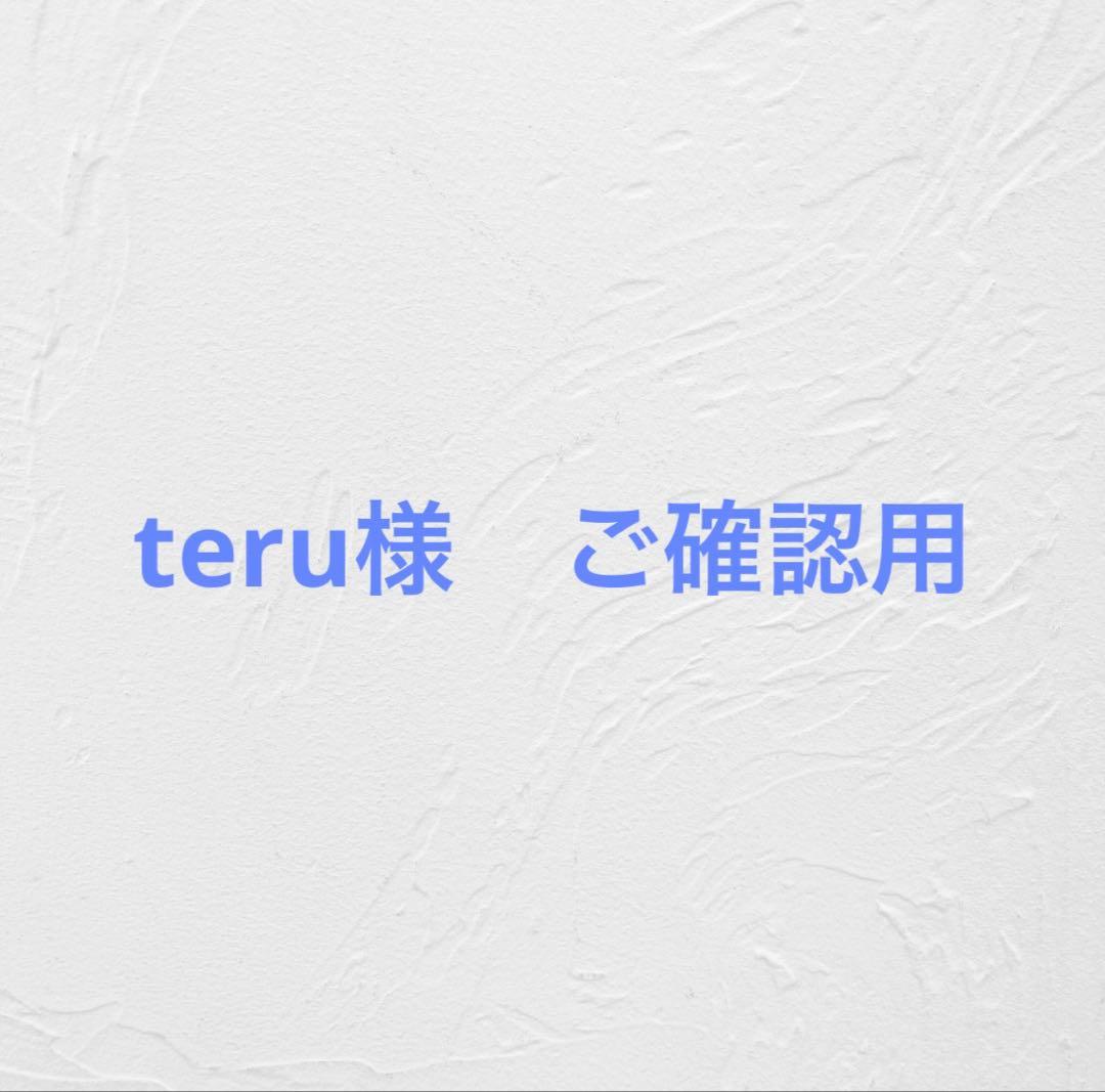 teru様　ご確認用　ビカクシダ