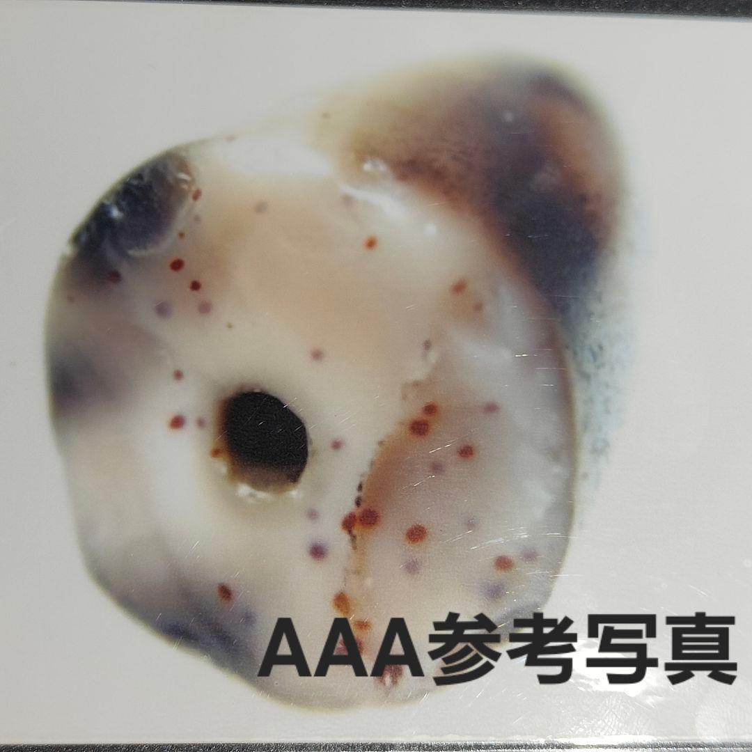 13 老礦天珠　蓮師法器天珠　天然石　風水　御守り　ブレスレット　ネックレス