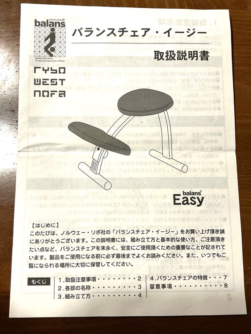 バランスチェア イージー　リボ社製