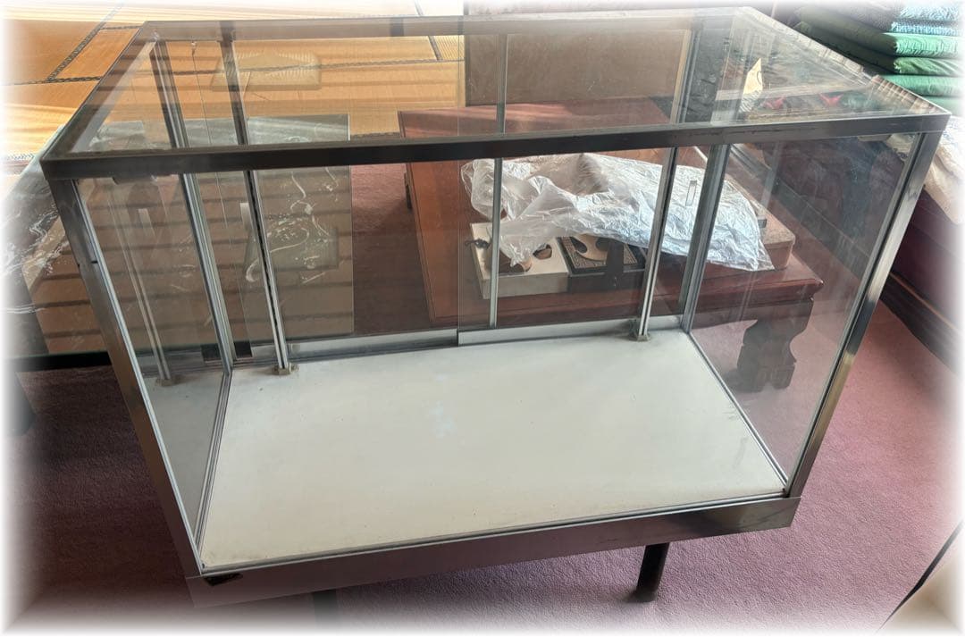 引き取り限定 福岡県 ガラスショーケース 温室 塊根 グラキリス ビカクシダ