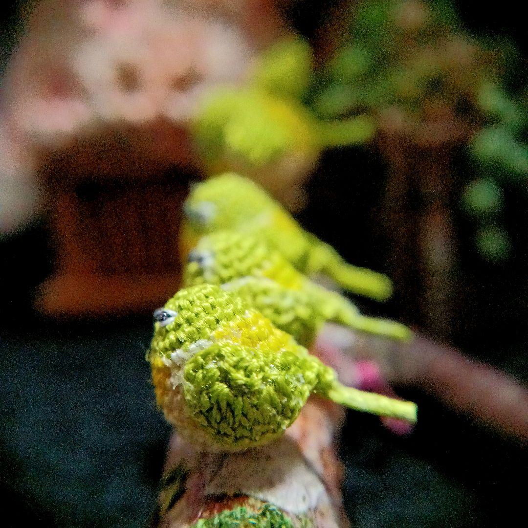 【おきゃんページ】になります